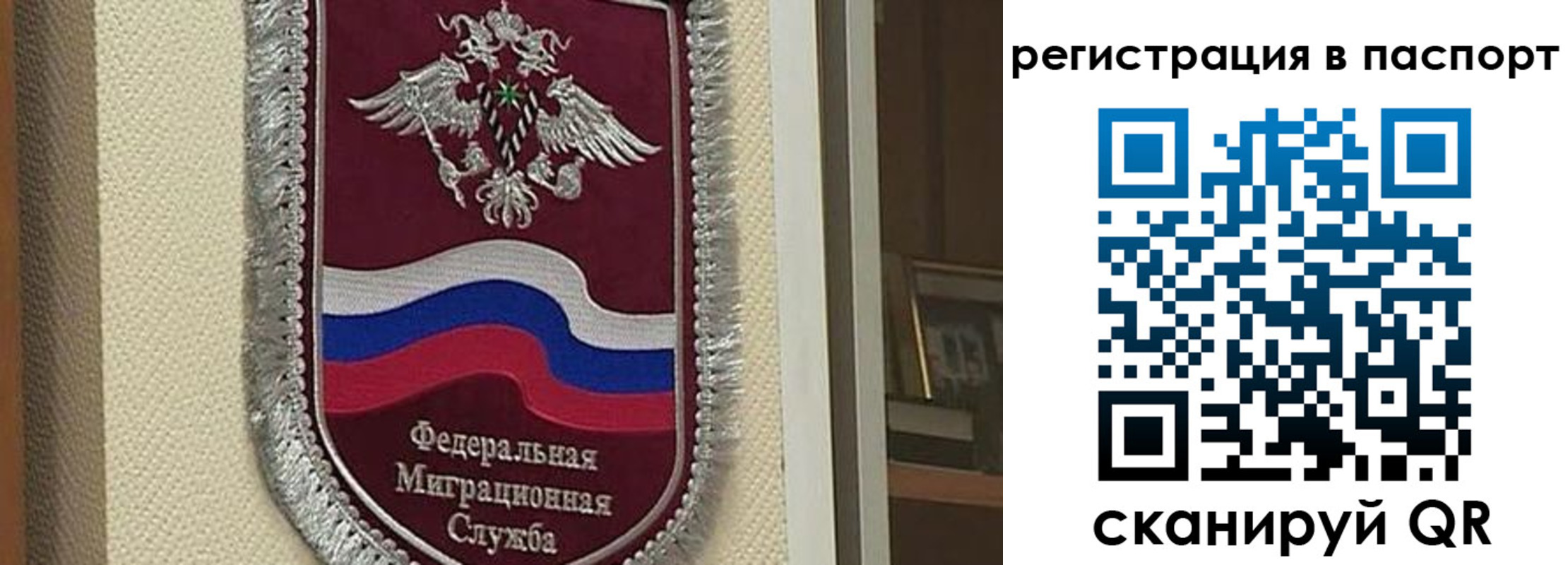 прописка законно в Ясногорске